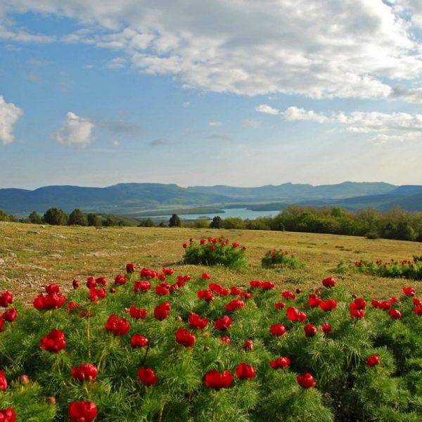 Байдарская долина